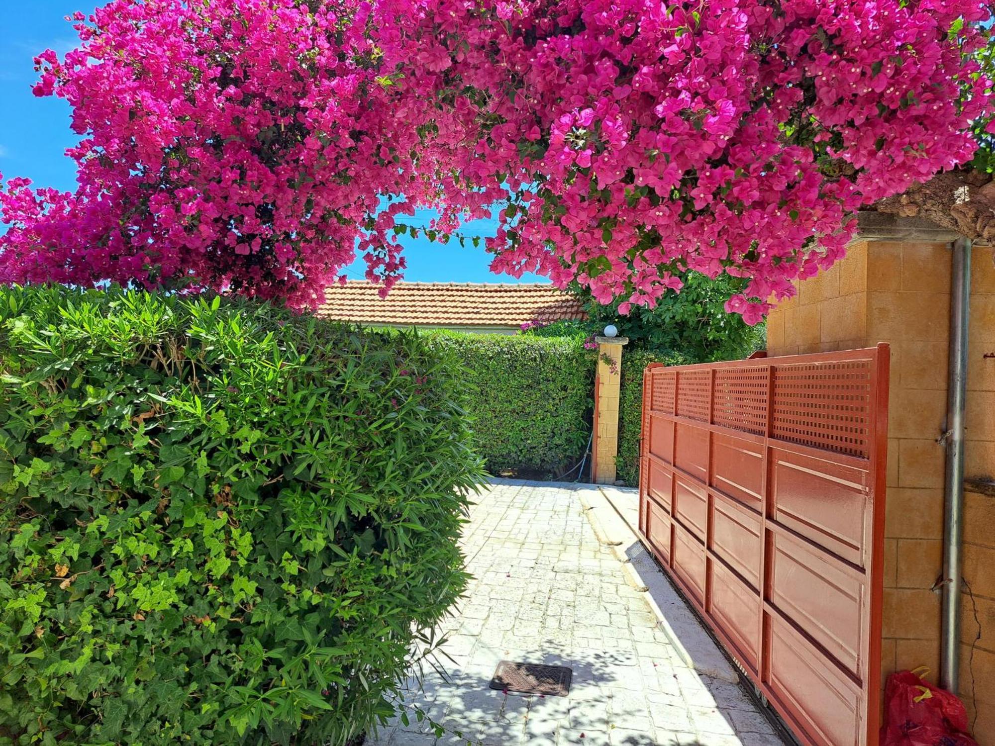 Holiday Home Orfanos Armenoí Extérieur photo